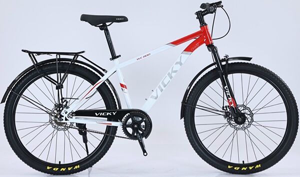 Xe đạp địa hình thể thao Vicky VC800 2024